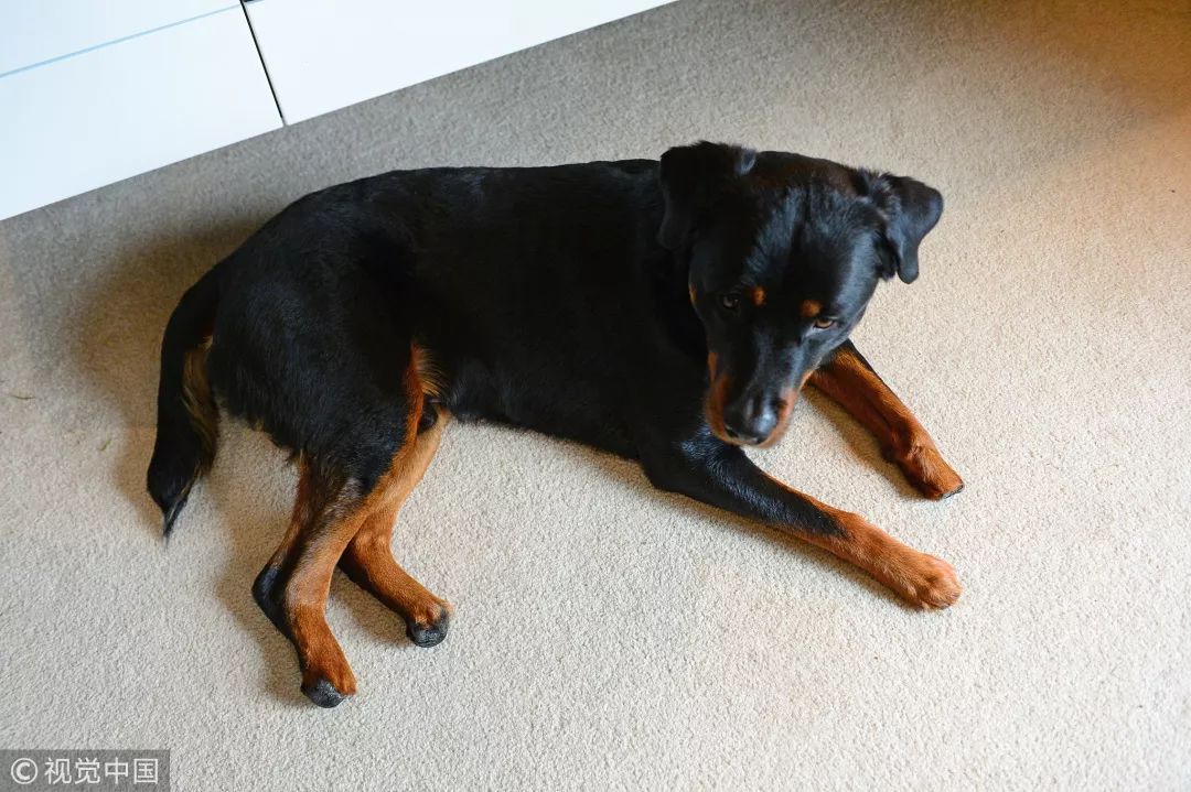 c罗看照片,c罗最不想被看到的照片