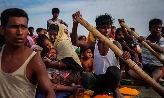 普利策奖饥饿的小孩,饥饿女孩