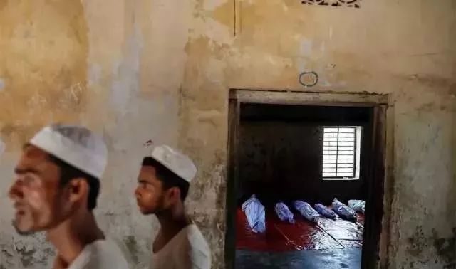 普利策奖饥饿的小孩,饥饿女孩