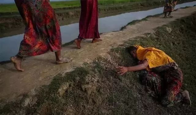 普利策奖饥饿的小孩,饥饿女孩