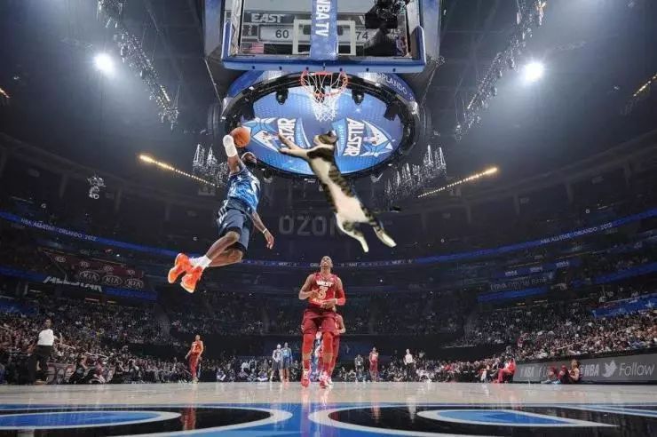 萌爪神吐槽馆，说你想说的