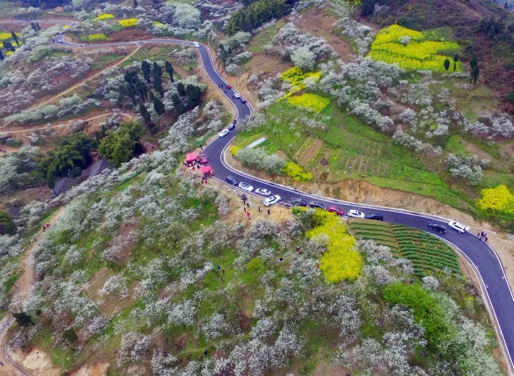 四好村名单出炉,2017年度四川省四好村
