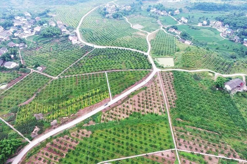 四川省2018年四好村名单,四川广安乡村振兴村名单