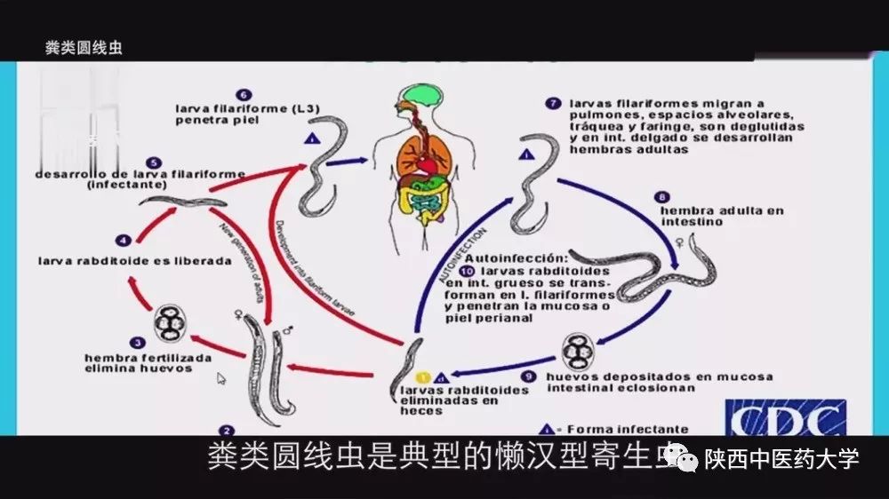 毒液的视角看毒液,医学生眼中的饮料图片