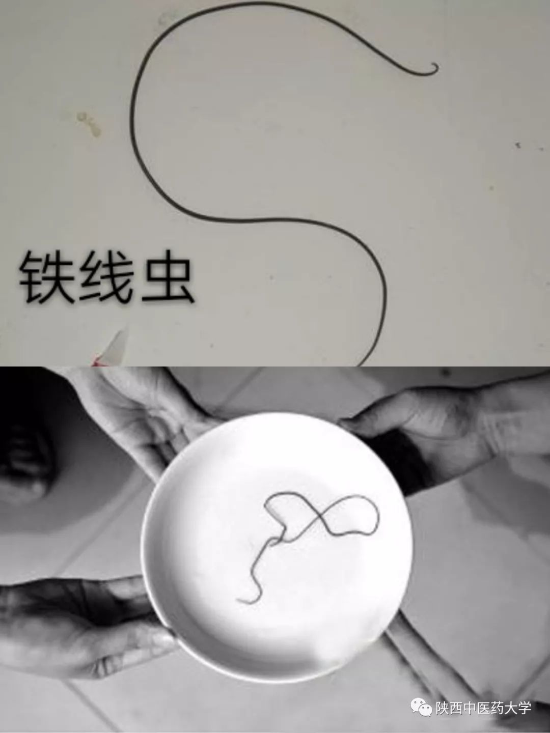 毒液的视角看毒液,医学生眼中的饮料图片