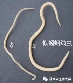 毒液的视角看毒液,医学生眼中的饮料图片