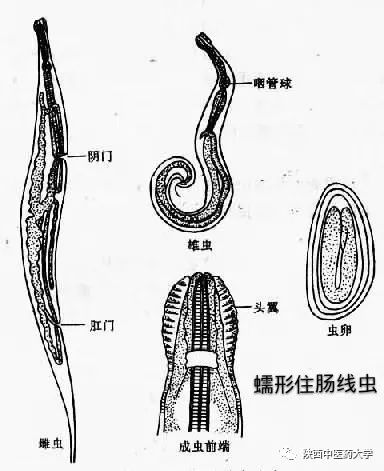 毒液的视角看毒液,医学生眼中的饮料图片