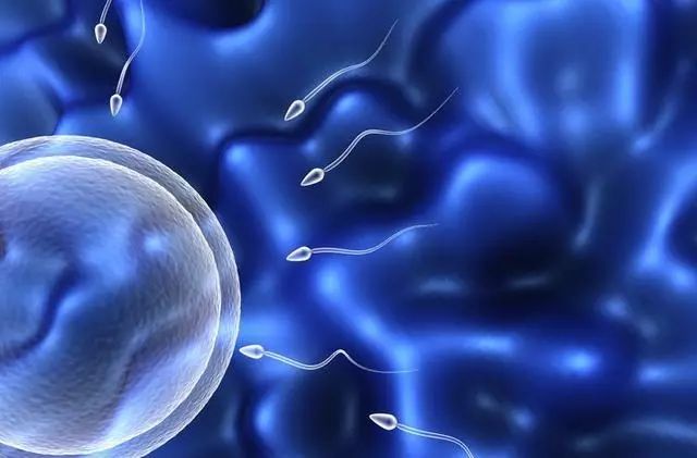 「解疑」夜晚精子“决堤”怎么回事？医生提醒：3个问题急需解决