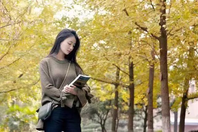 成都锦江边最漂亮的银杏,成都银杏美图