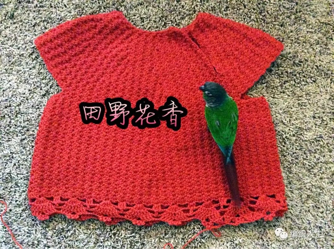 秋韵上衣钩针图解,开襟毛衣的钩针教程