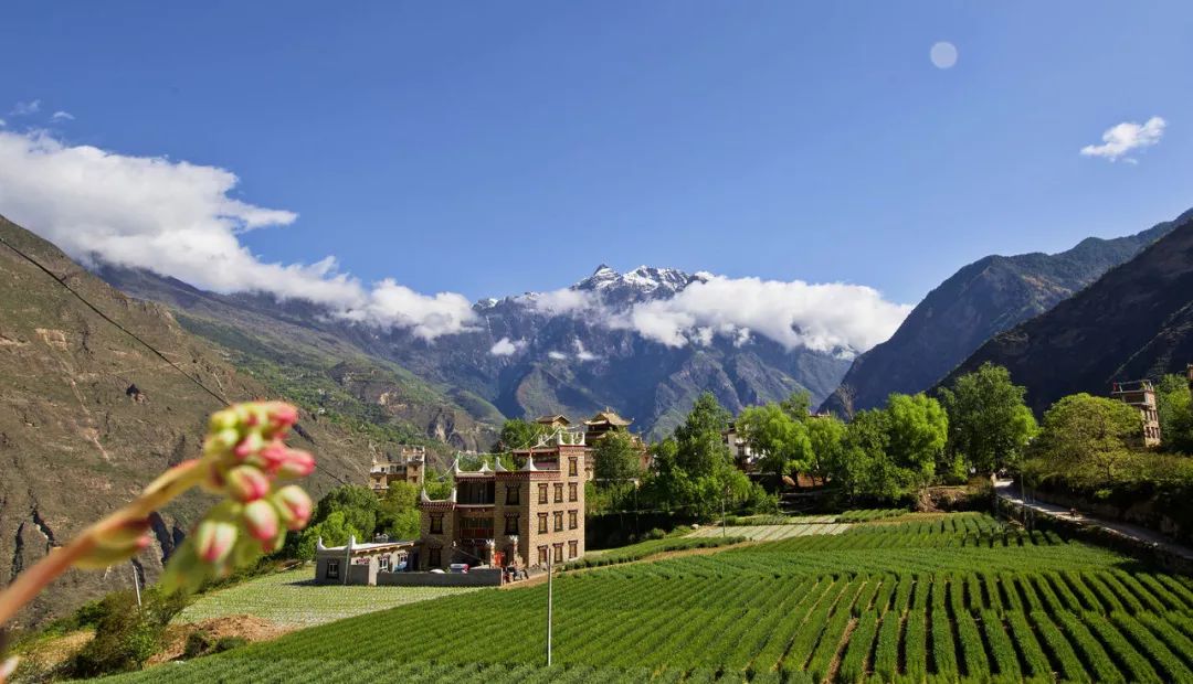 她们用自己的身体，建起了一幢幢泣血的“姐妹楼”