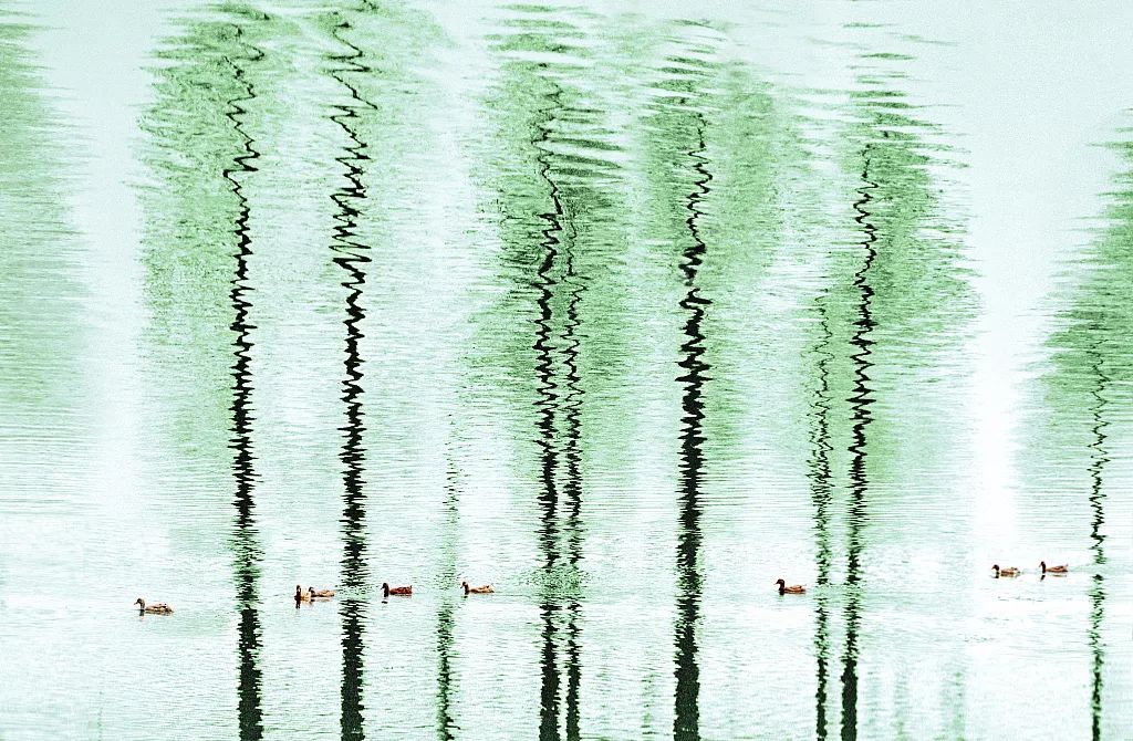 不悔梦归处只恨太匆匆背景图,不悔梦归处只恨太匆匆语录