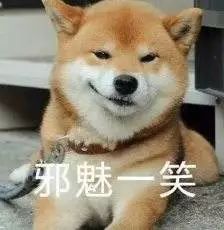 禹州长途客运最新通报,禹州客运东站客车发车时刻表