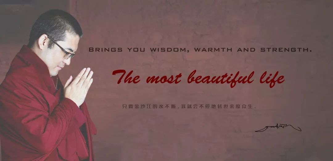 盲目跟风造成严重后果的案例,警惕盲目跟风