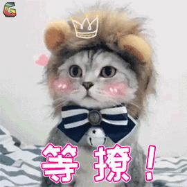 深扒海外夏令营的那些坑，让你在择营时少走弯路|二宝爸吐血良心作