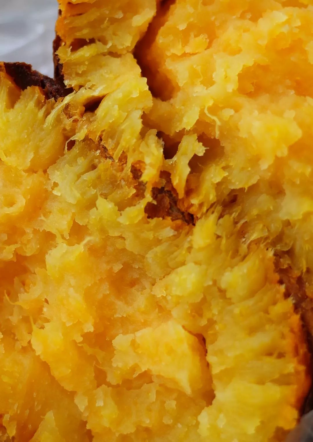 人间不值得但是人间很美好,人间不值得但是你值得是谁说的