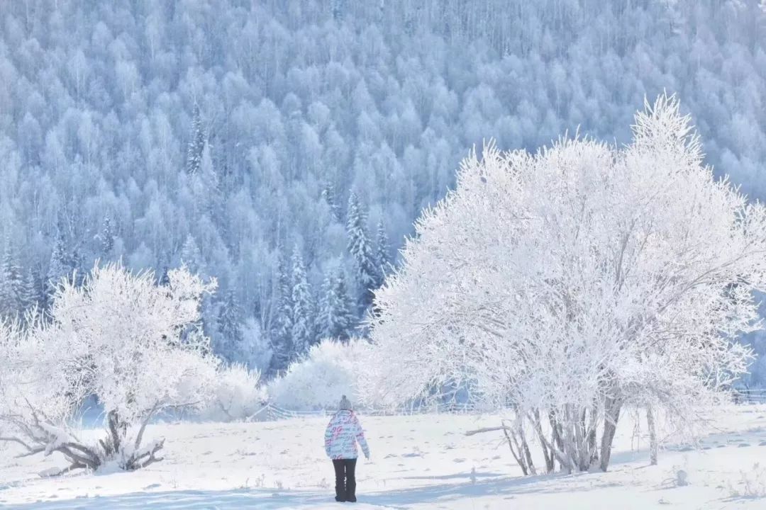 这里的冬天曾是“禁地”，现在是人神共享的冰雪秘境，机票低至¥500！