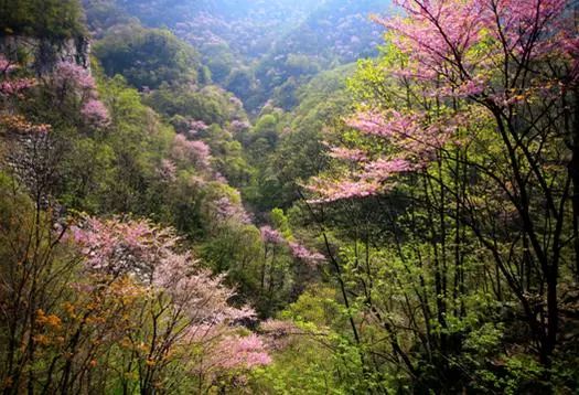 卢氏县双龙湾景区将成为省级旅游度假区啦！