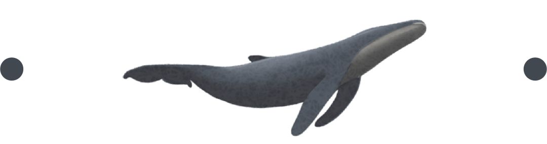 鍦ㄨ繖閲屼笌缇庡ソ涓嶆湡鑰岄亣,鍦ㄨ繖閲屼笌鍘嗗彶鐩搁亣浣滄枃