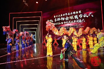 第五届武术世界锦标赛,第十五届世界武术世锦赛