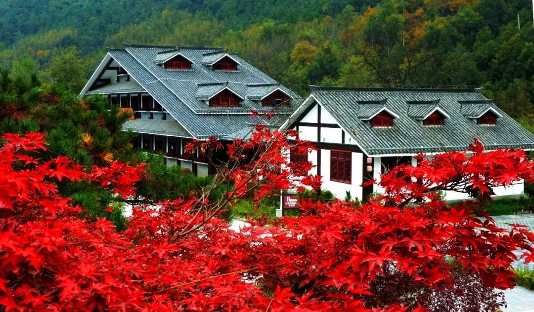 康县县城,过去的康县