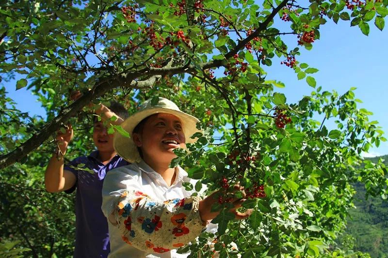 康县县城,过去的康县