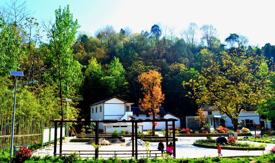 康县县城,过去的康县