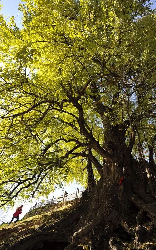 康县县城,过去的康县