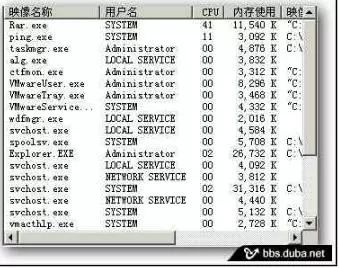 极虎病毒,2009病毒事件