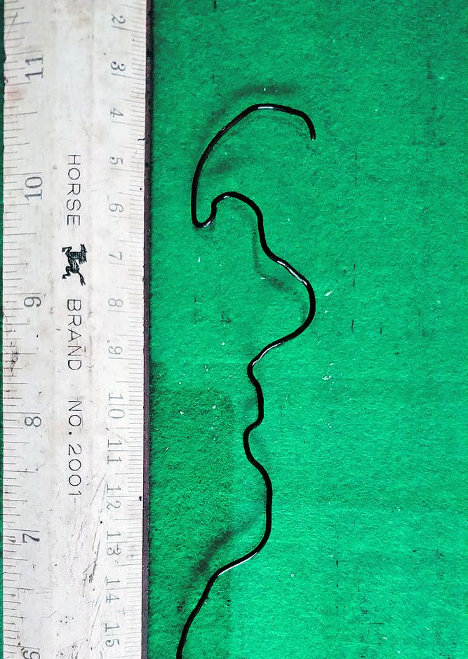 姝︿箟铏伨,姝︿箟铏瓙浜嬩欢