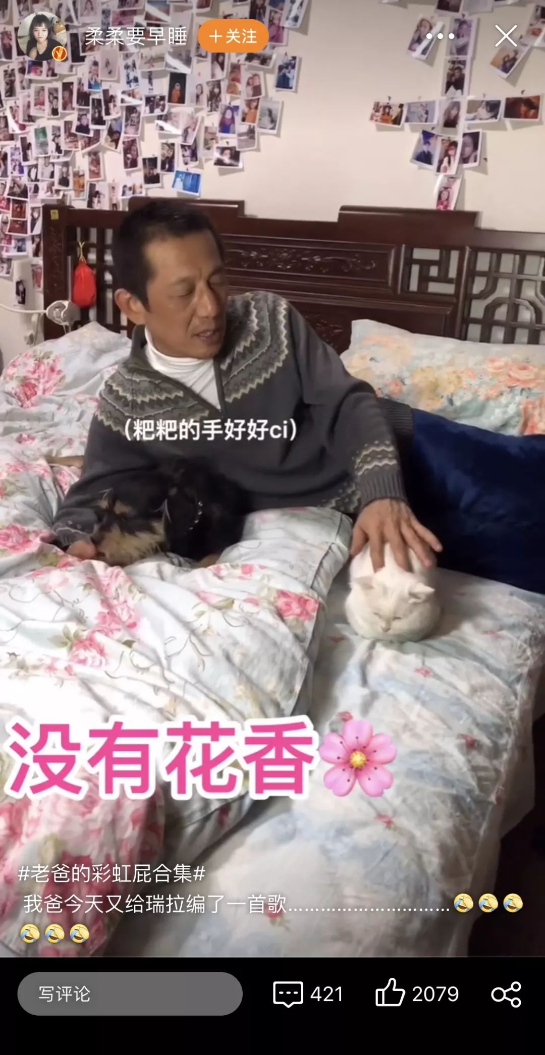养猫的用处每一个都好硬核 (年轻人养猫和老人养猫的区别)
