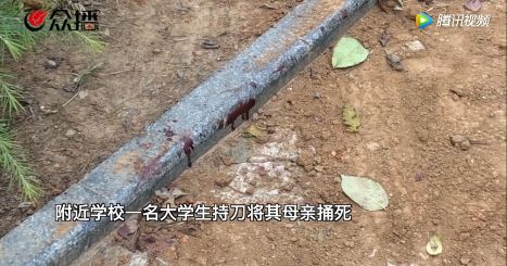 大学生捅死母亲的原因,大学生捅死陪读母亲原因