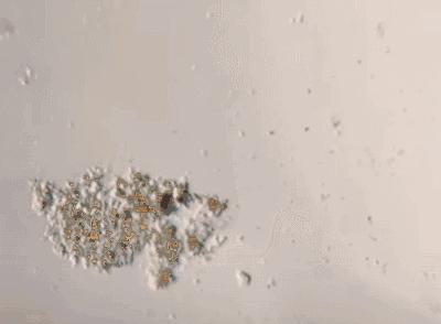 女人的*裤内**，往往暴露出这些问题