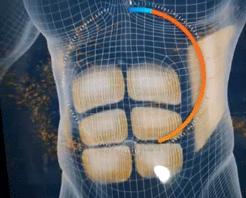 躺着减肥瘦肚子神器,能瘦肚子的瘦身贴