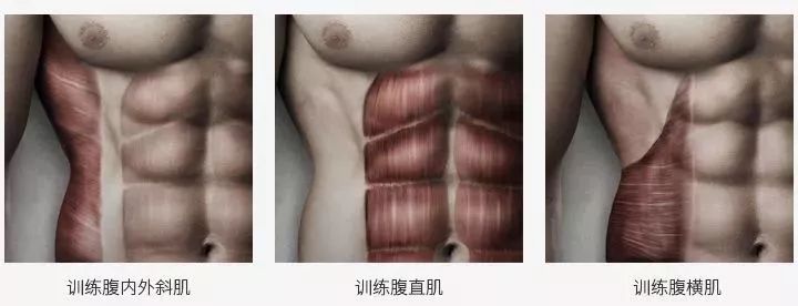 躺着减肥瘦肚子神器,能瘦肚子的瘦身贴