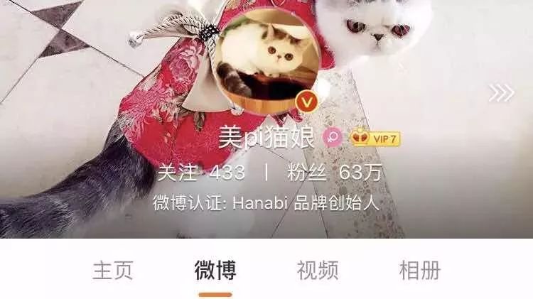 跨境打假追逃背后，“猫娘”们的生意经