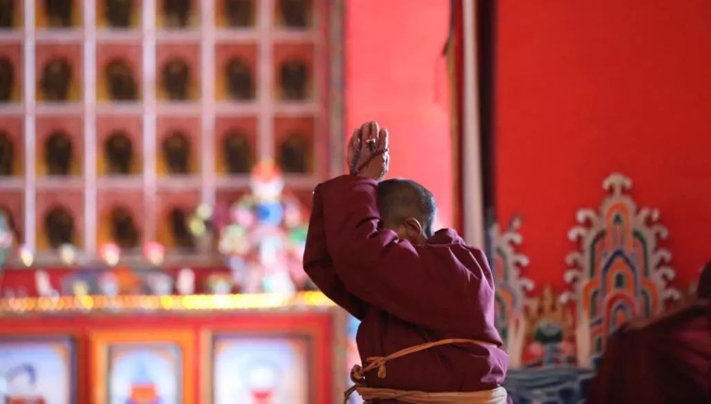 盲目跟风造成严重后果的案例,警惕盲目跟风