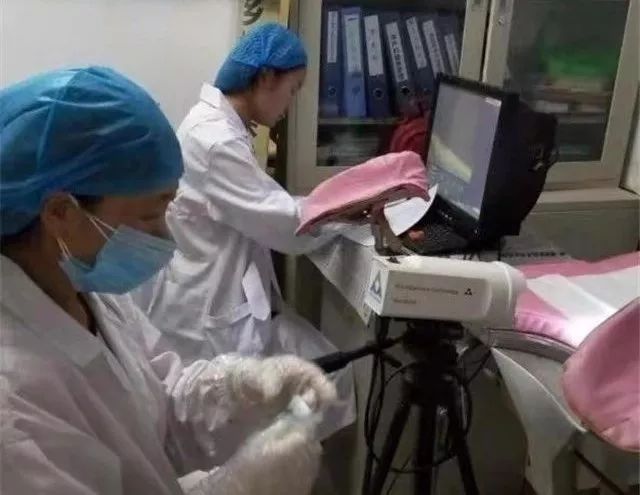 「心声」我的宫颈癌筛查笔记｜赵瑞雯