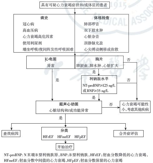 2018中国心衰诊断和治疗指南,中国最新心衰指南