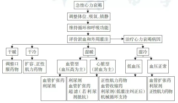 2018中国心衰诊断和治疗指南,中国最新心衰指南