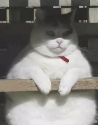 适合过冬的日本保暖神器,日式冬季保暖神器