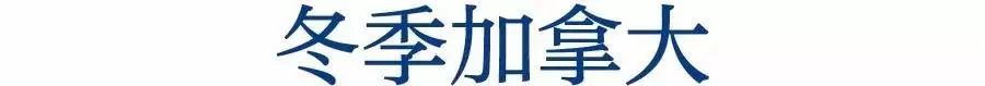 支付宝放大招锦鲤,支付宝发布大招