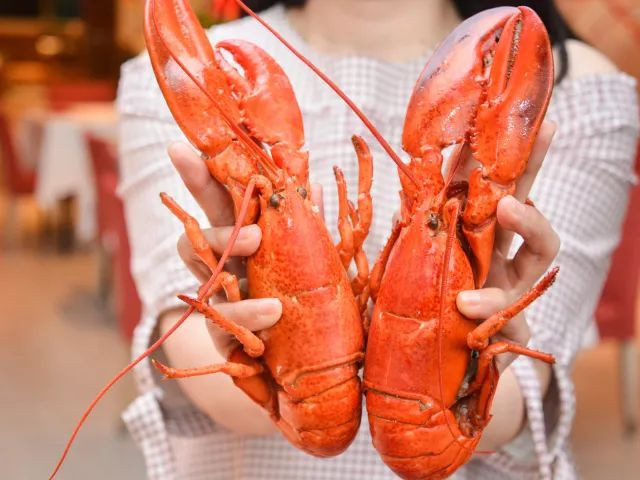 ￥238/位——“爱尔兰生蚝+15种海鲜”畅吃，还送波龙！乐队表演周末哈根达斯！这家希尔顿旗下酒店颠覆吃货想象！