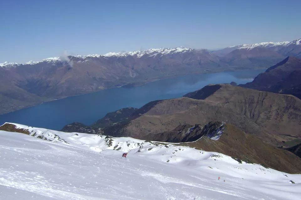 新西兰必买清单超全整理,新西兰特产必购物清单