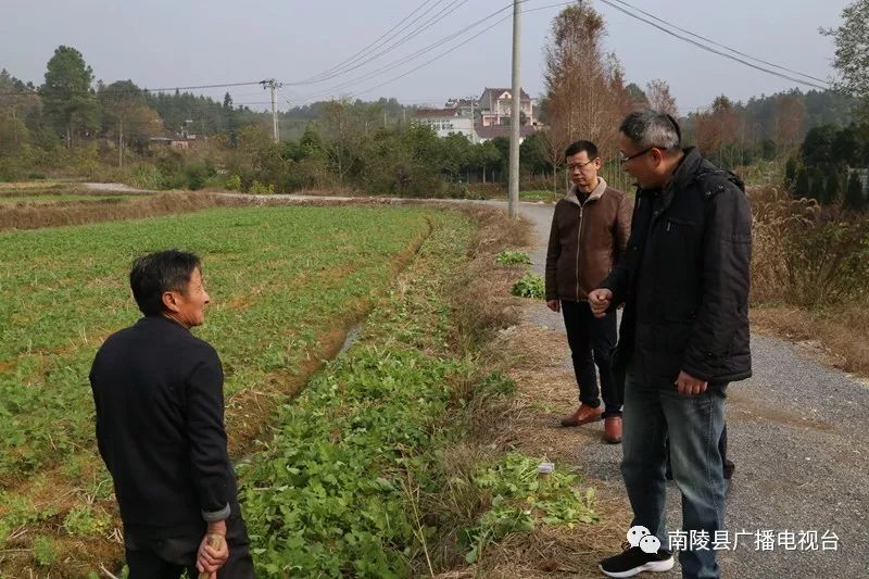 220元能买什么,220元买什么最划算