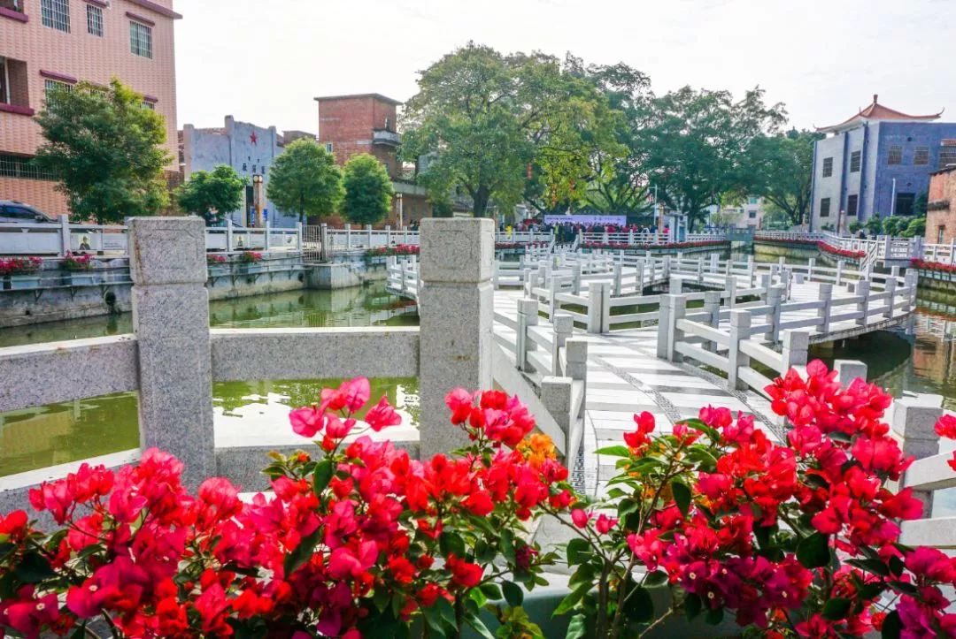 人民日报推动经济高质量发展,人民日报生态振兴