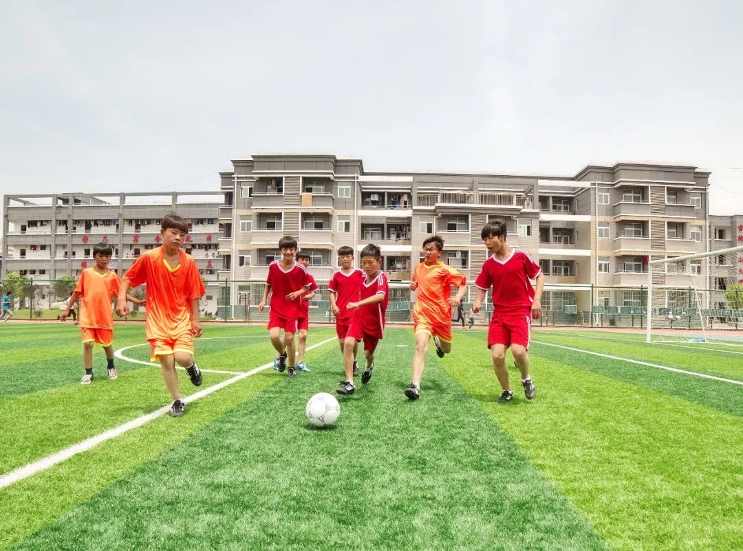 2019阜南足球联赛,南郑区第六届青少年校园足球联赛