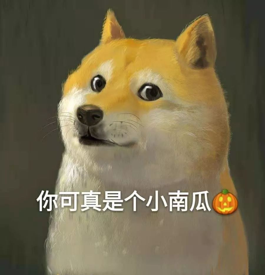 万国魅力｜其实你不知道西欧五语的真面目……