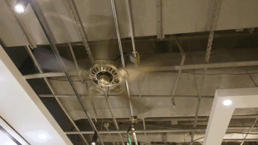 一秒穿越80年代香港,一秒带你穿越港式美食