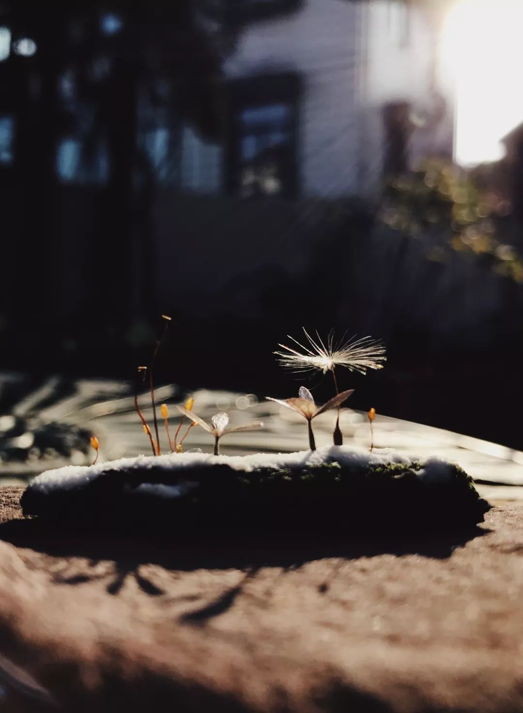 教你怎么造雪,人工造雪最简单的方法